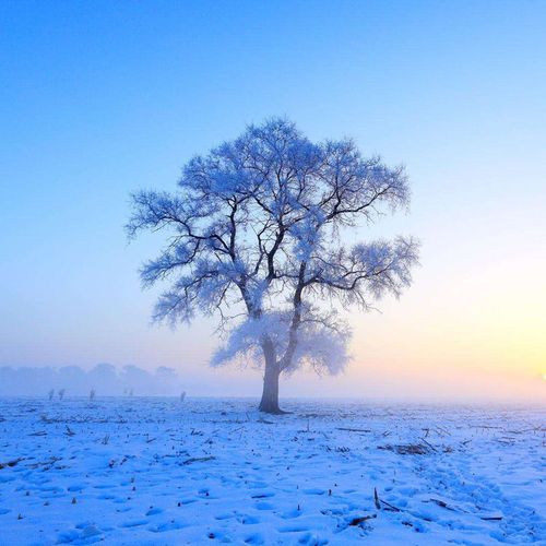 散文 | 艾平：温暖的冰雪覆盖着我的家乡