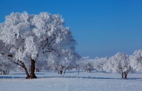 散文 | 艾平：温暖的冰雪覆盖着我的家乡