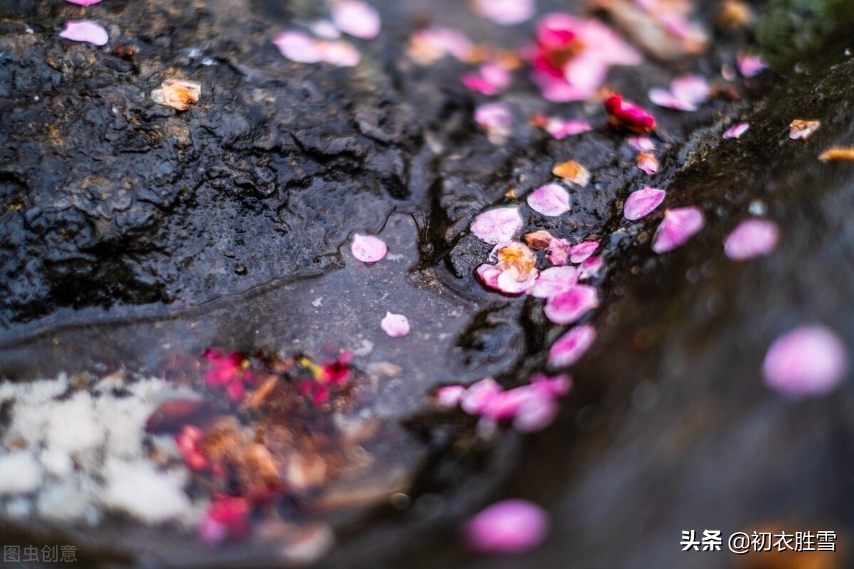 晏几道早春情词两首：花信来时，恨无人似花依旧