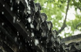 夜读丨故乡的春雨