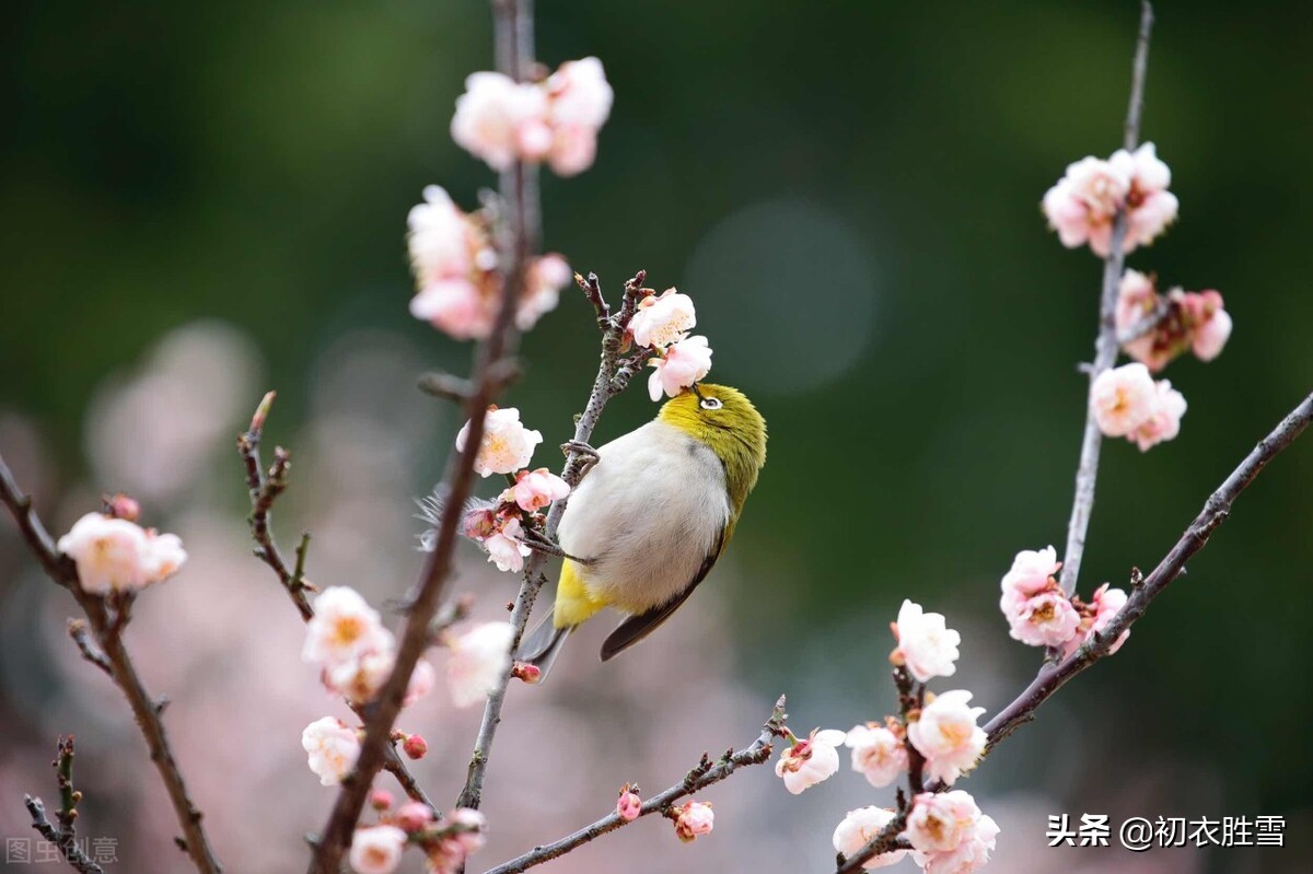 明丽立春宋词六首：春在水无痕，春在山无迹