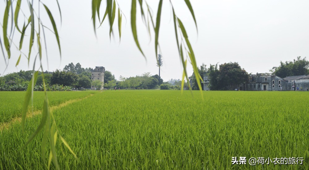 中国最热门的3大景点，美得耐人寻味，每一个都值得去