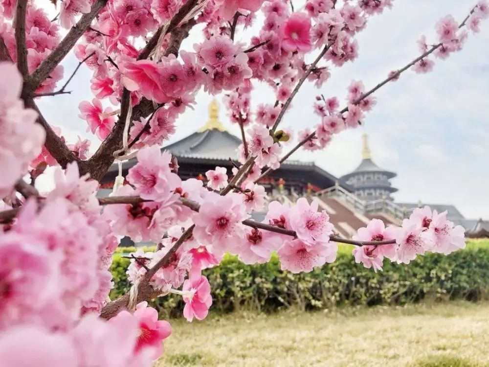 适合一个人旅行的16个旅行地，出发了才能遇见那个TA，不用等了