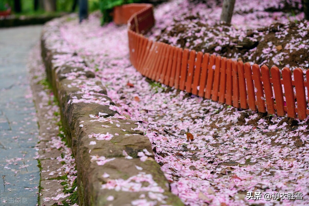 晏几道落花情词两首赏读：相寻梦里路，飞雨落花中