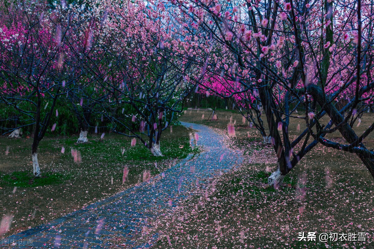 晏几道落花情词两首赏读：相寻梦里路，飞雨落花中