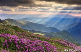 王国维晚春明丽美词两首：花事山中浑未了，十里杜鹃红似烧