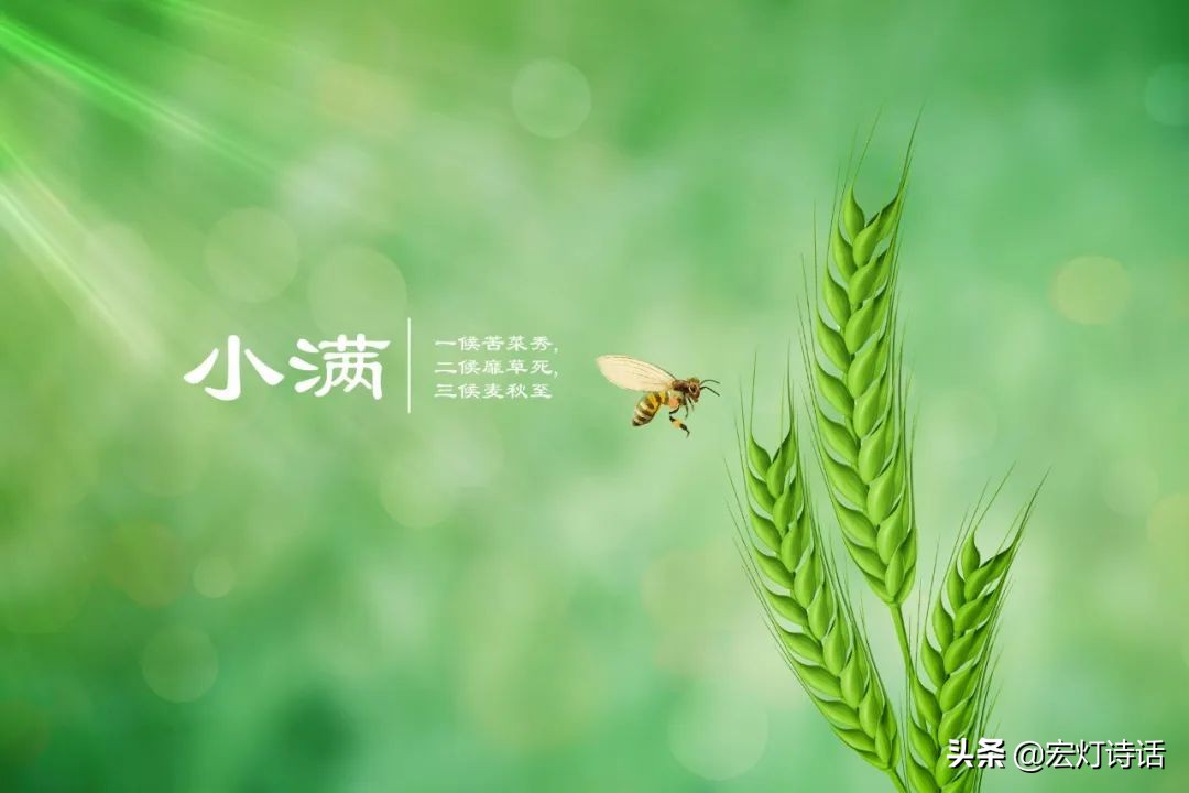 诗特刊182期｜小满同题｜枝头的花朵落下来 池塘的水又悄悄涨满了