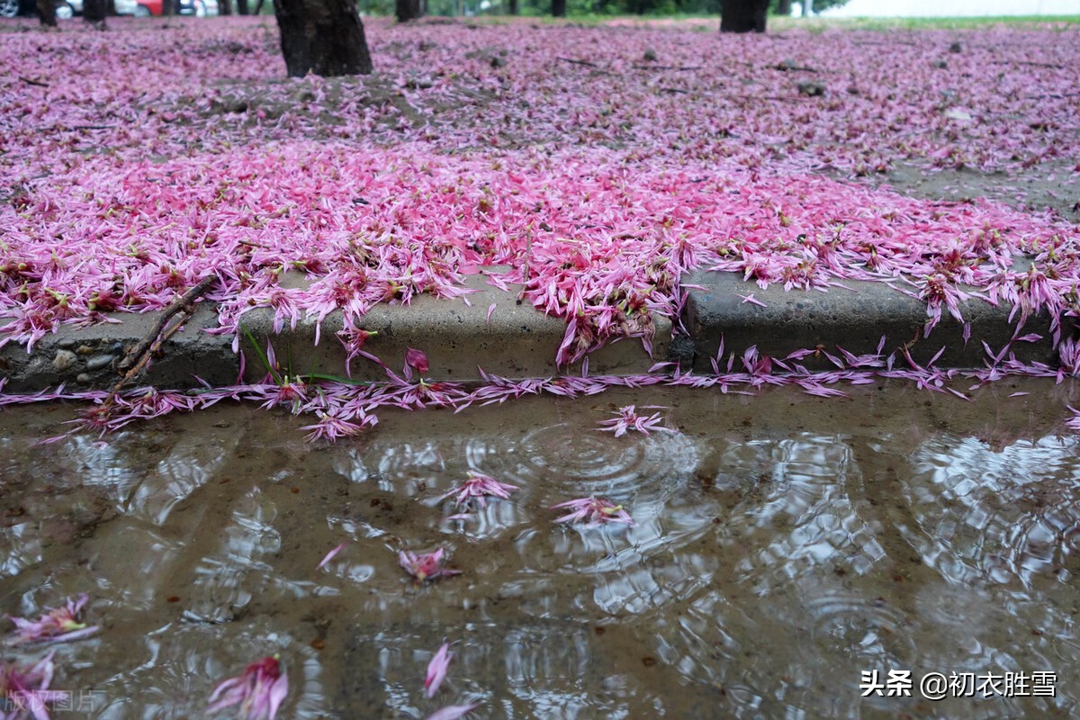 辛弃疾晚春风雨落花两首：中心怅而，似风雨，落花知