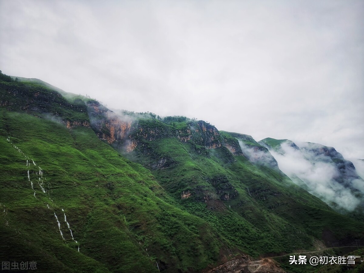 初夏雨水美诗八首：夏雨生众绿