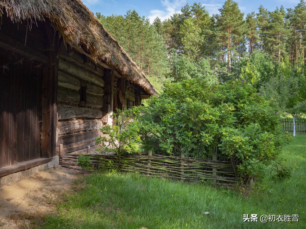 孟夏美诗四首：孟夏草木长，绕屋树扶疏