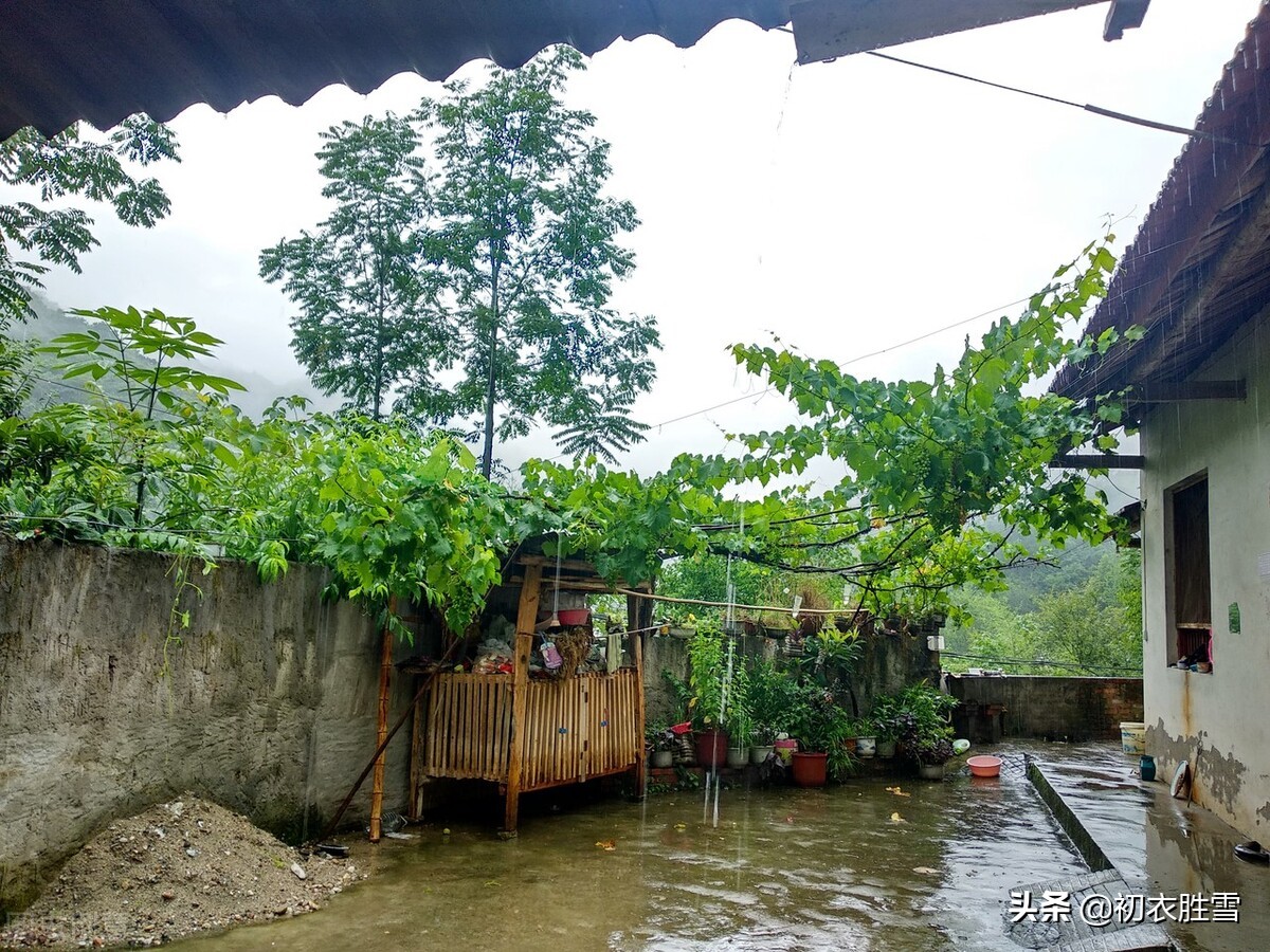 早夏烟雨诗词七首：满空烟雨意，万顷黍禾情