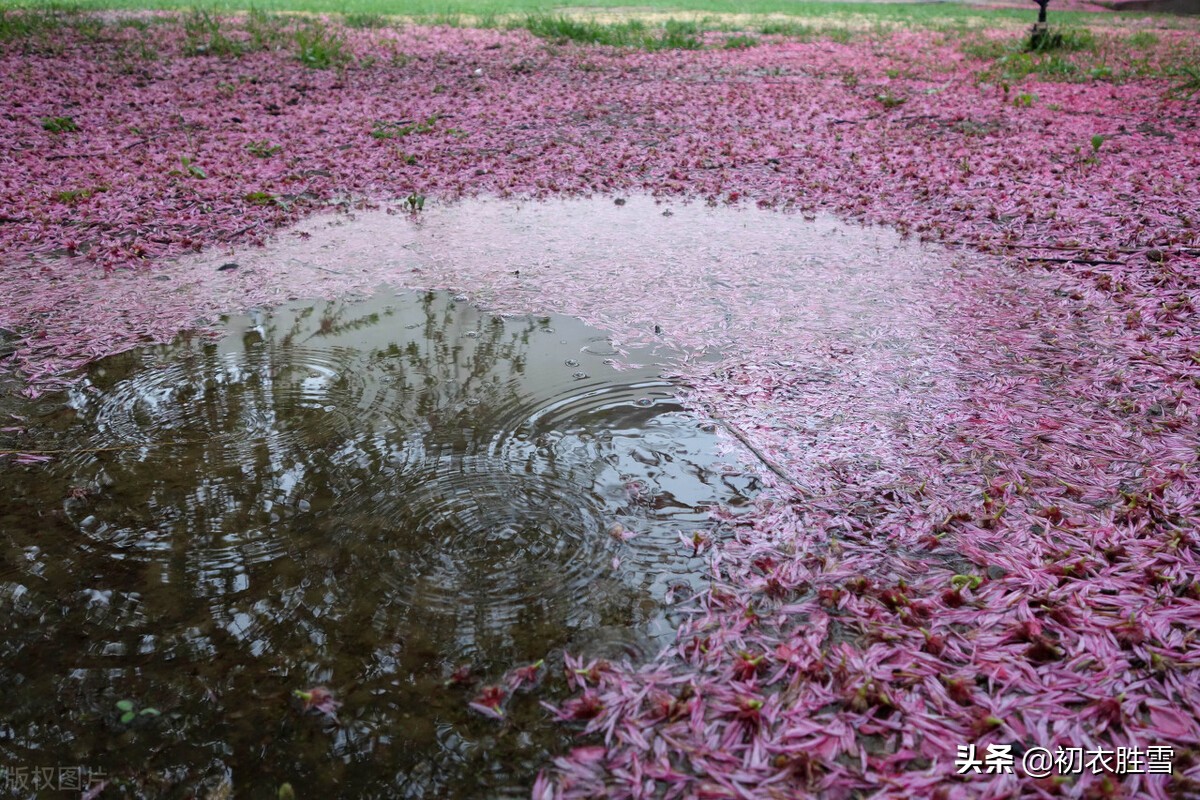 辛弃疾晚春风雨落花两首：中心怅而，似风雨，落花知