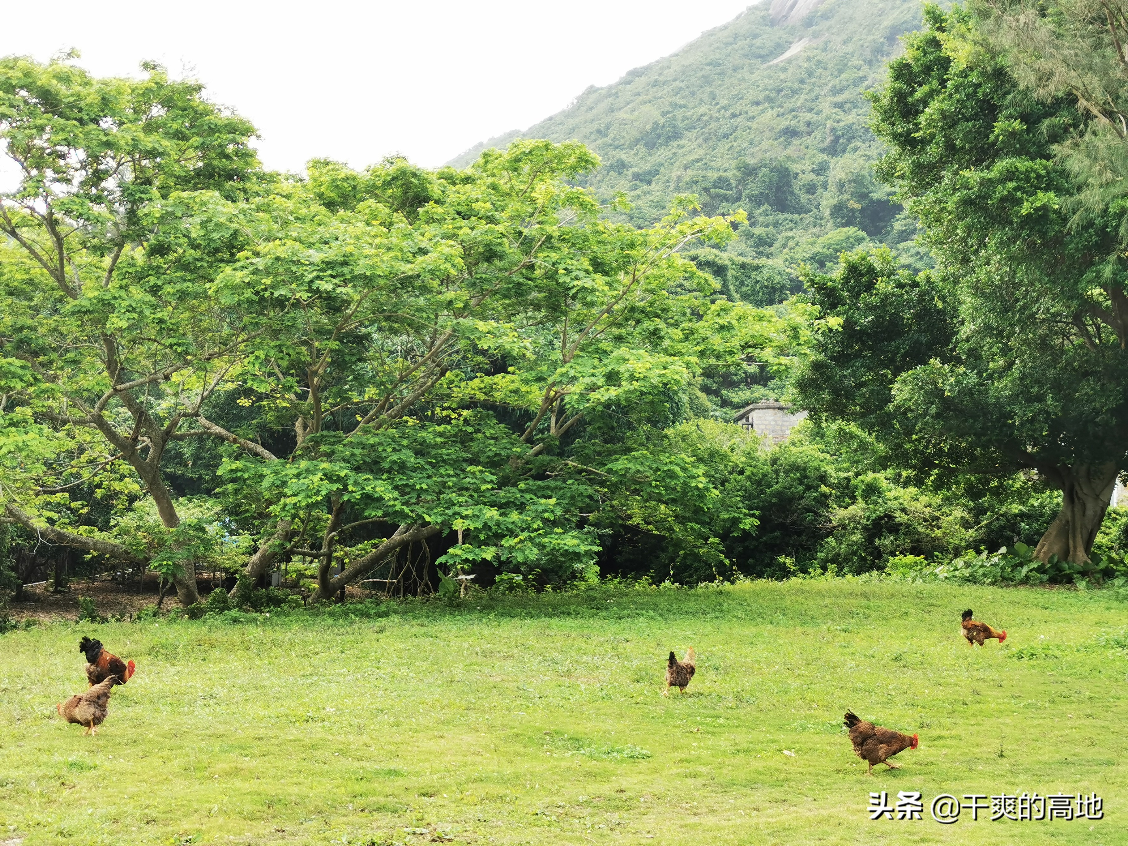 非虚构丨王雁翔：担杆岛上