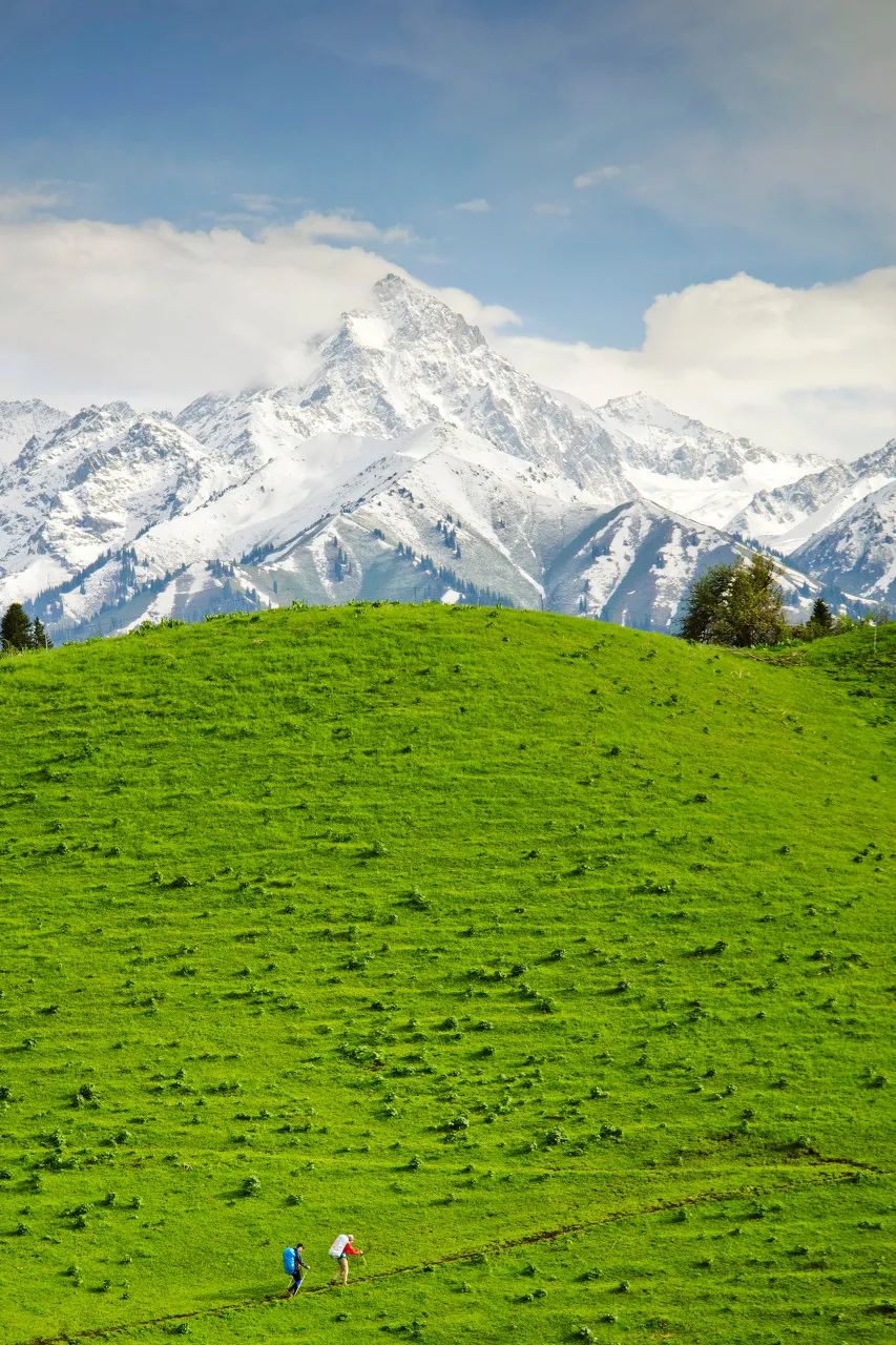 新疆伊犁夏季最美风景，你去过几个呢？