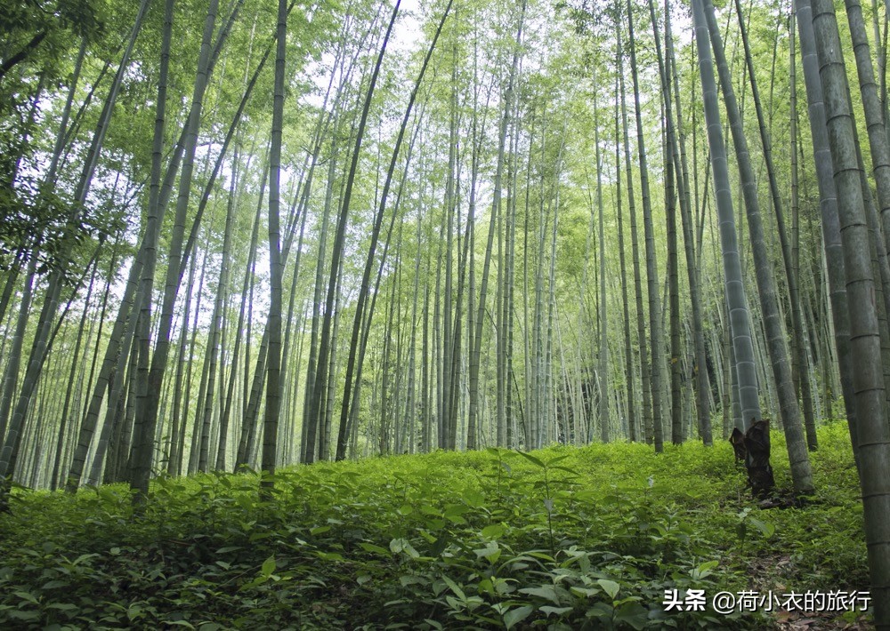 国内这4个地方美出天际，惊鸿一瞥，养了眼、醉了心，你去过了吗