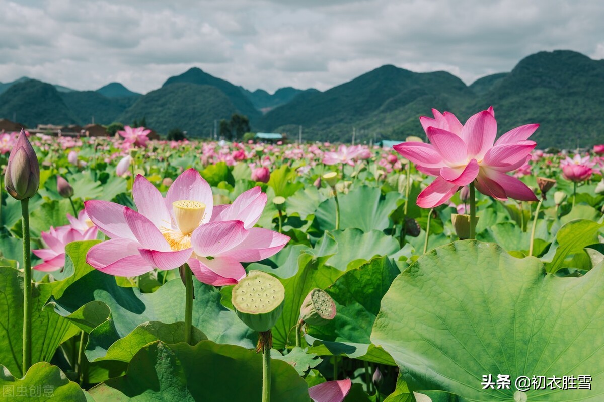 古诗六首话农历六月：六月徂暑，六月收瓜，六月长夏，六月荷花