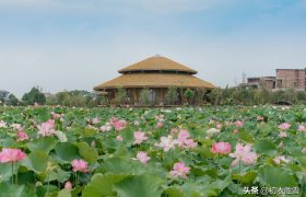 季夏六月月令美词六首，欧阳修的富丽，杨慎的瑰丽，曹贞吉的朴素