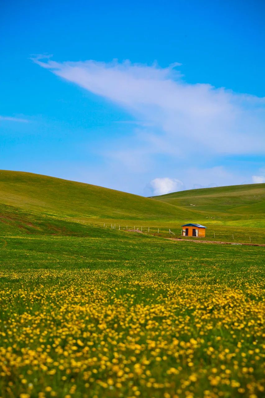 新疆伊犁夏季最美风景,你去过几个呢?