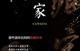 推荐鉴宝，探秘，寻宝类小说，揭秘神秘宝物背后的故事，书荒必备