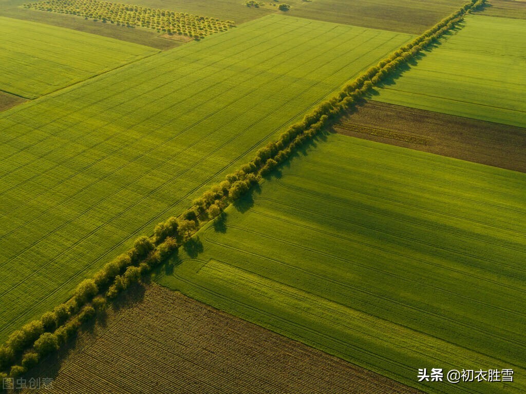 土地日里说土地，古诗三首，谈谈古代夏至为什么隆重祭地？