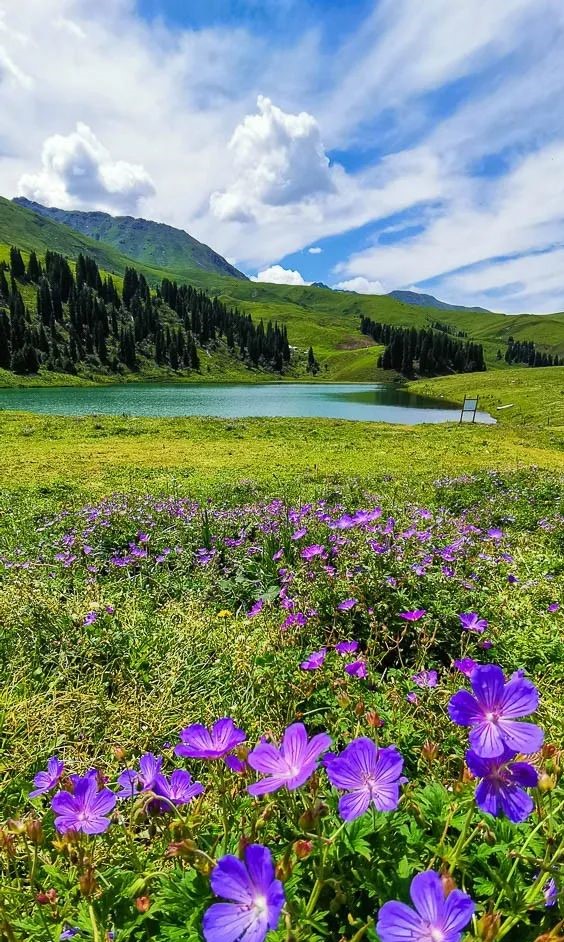 新疆伊犁夏季最美风景,你去过几个呢?