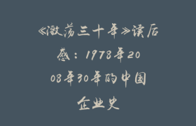 《激荡三十年》读后感：1978年2008年30年的中国企业史