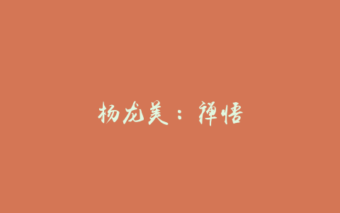 杨龙美：禅悟