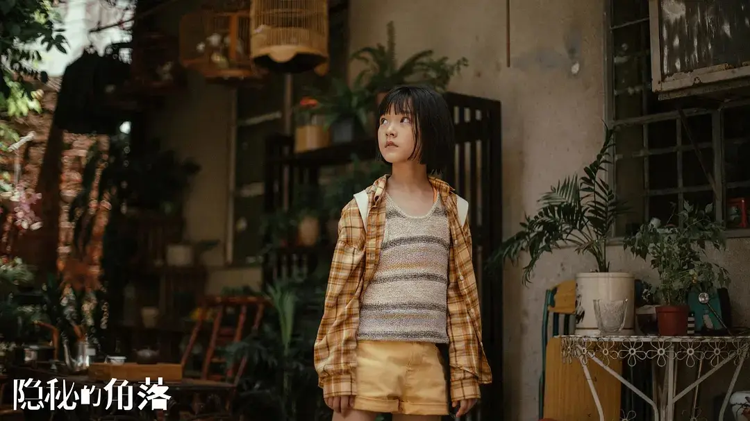 《隐秘的角落》:在夏日阴影里,剖开人性的褶皱