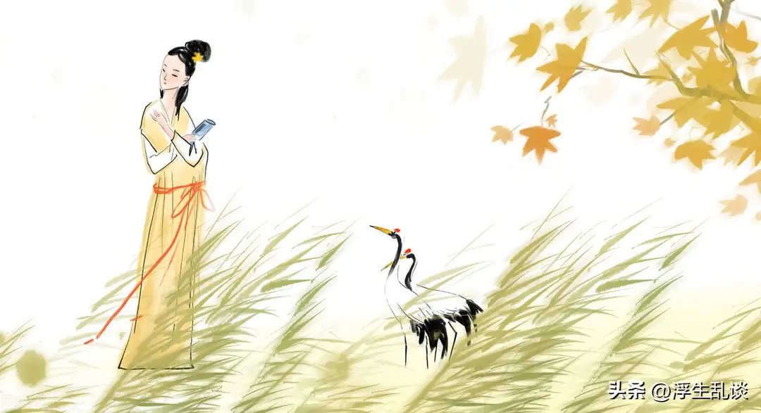 《郑风·风雨》:暗夜鸡鸣里的守候,乱世中的温暖微光