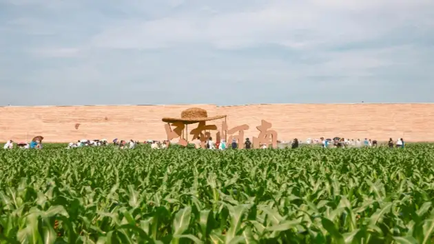 踏黄土寻文脉：只有河南戏剧幻城深度游记